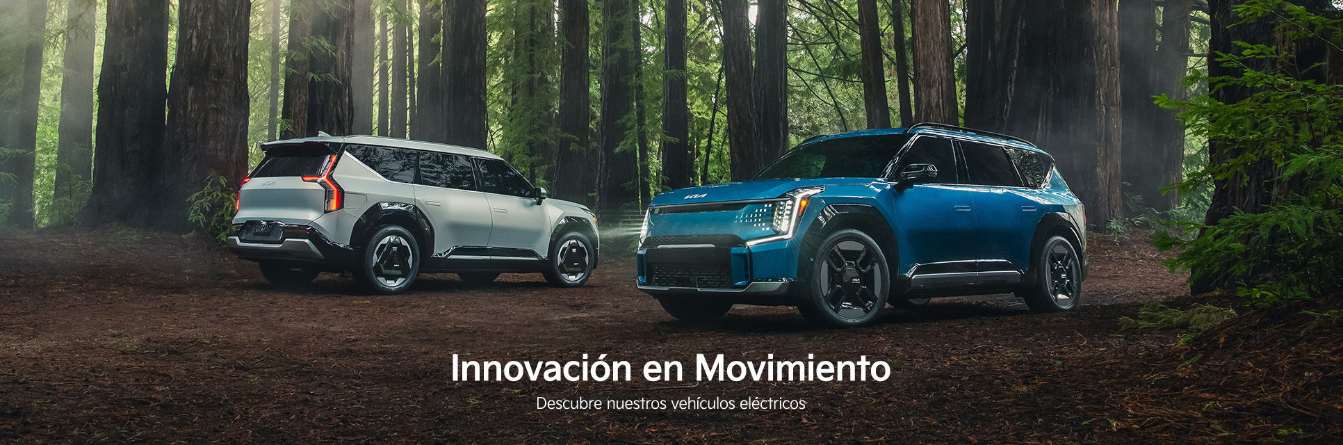 Innovación en Movimiento