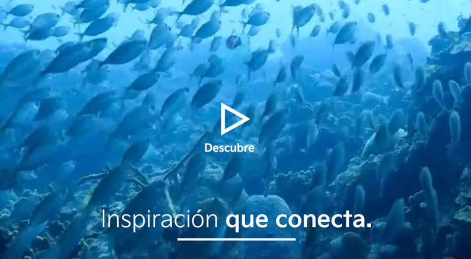 Inspiración que conecta